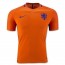Детская футболка Сборная Голландии (Нидерландов) 2016/2017 - Детская футболка Сборная Голландии (Нидерландов) 2016/2017